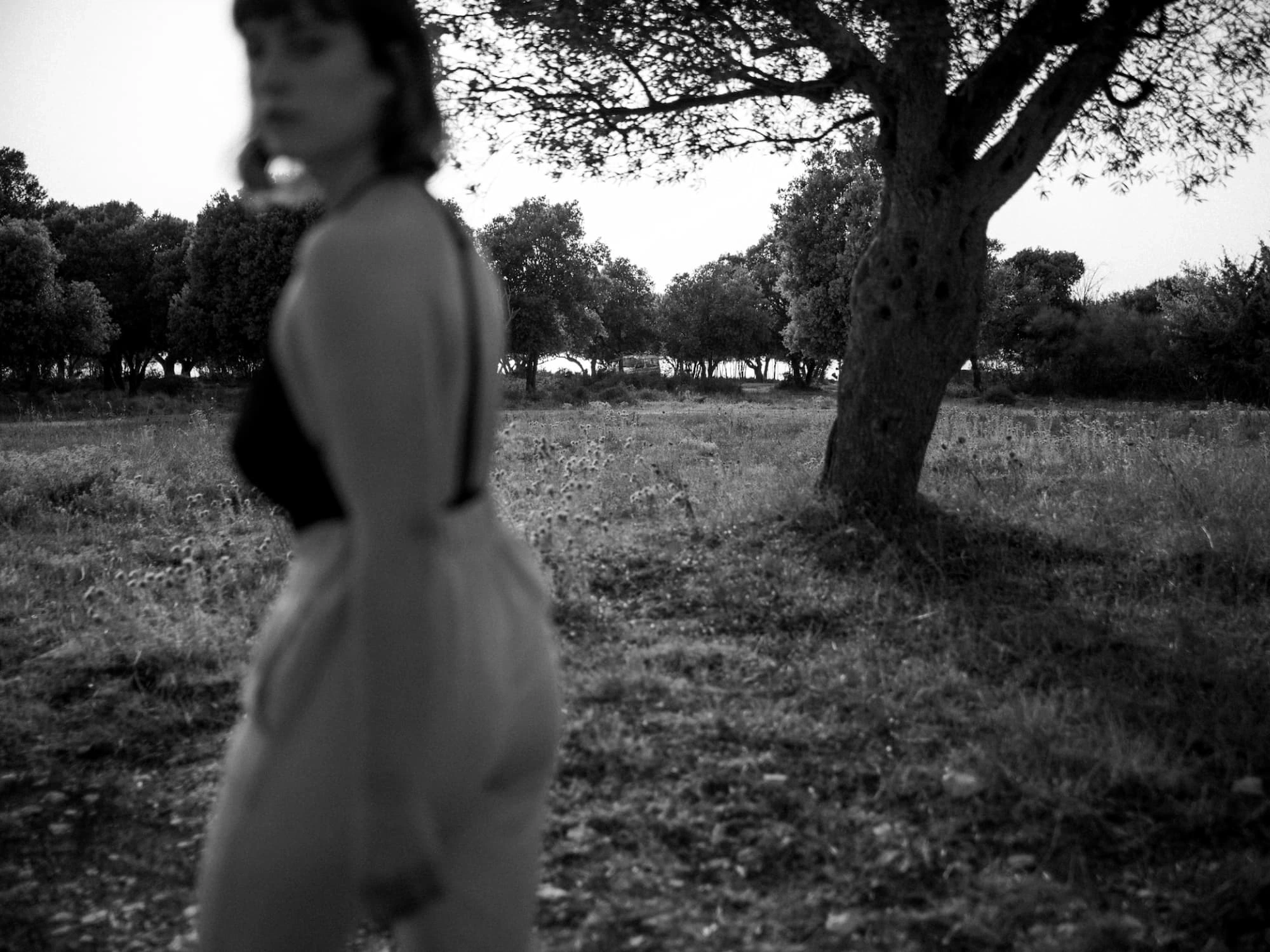 woman walking by on a field of olive trees
