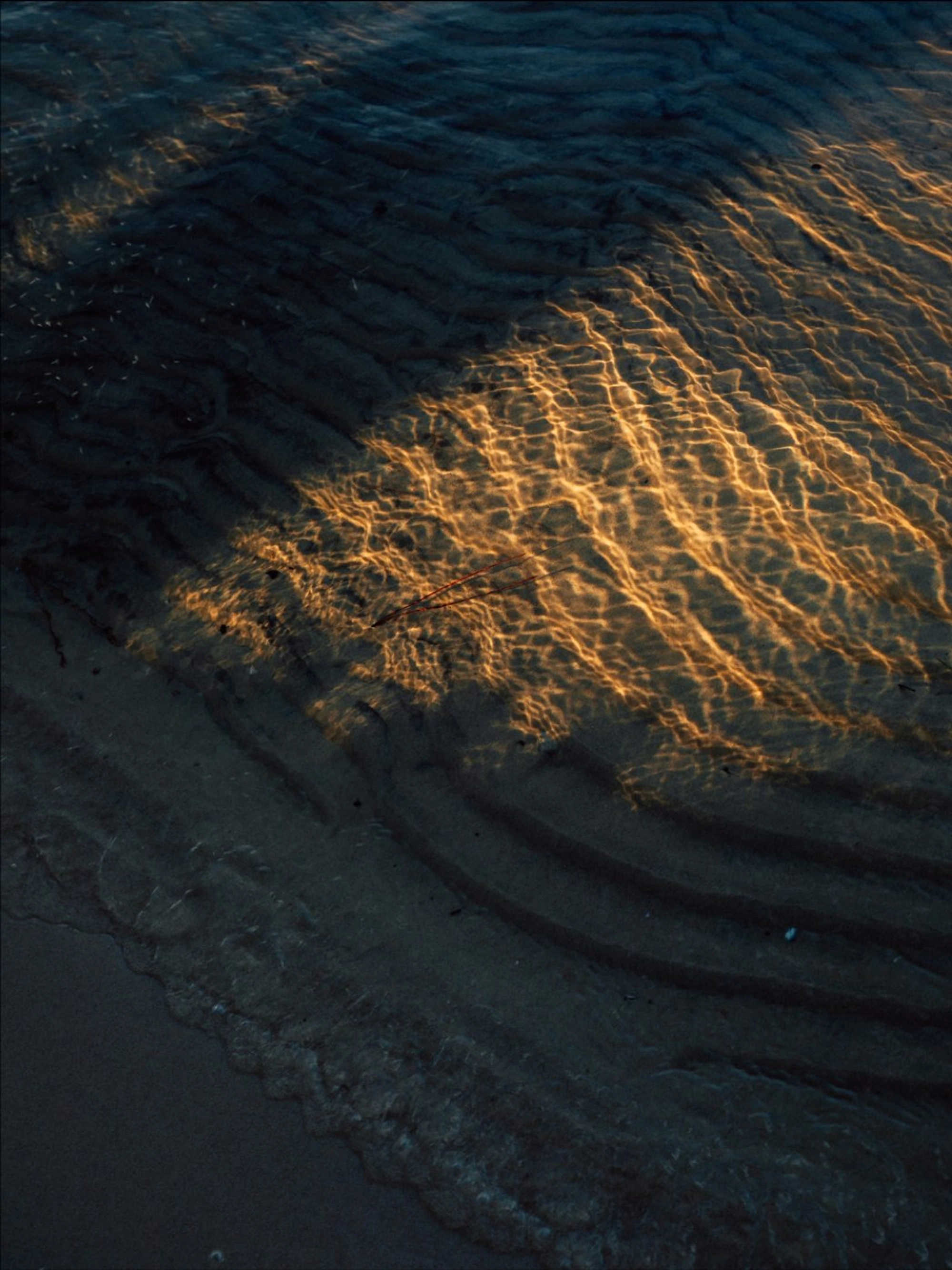 water ripples of a lake during the golden hour